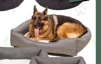 Harald Nyborg Hundeseng tilbud