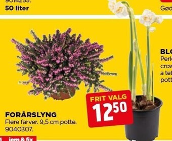 jem & fix Forårslyng tilbud