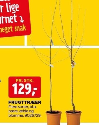 jem & fix Frugttræer tilbud