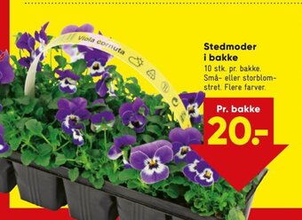 Bilka Stedmoder i Bakke tilbud