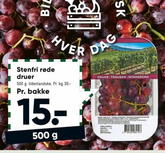 Bilka Stenfri Røde Druer tilbud