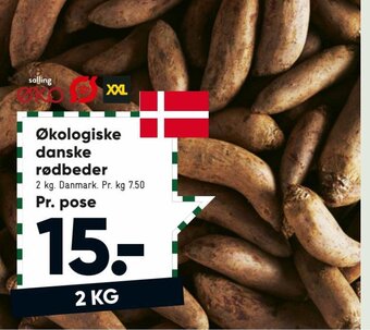 Økologiske Danske Rødbeder