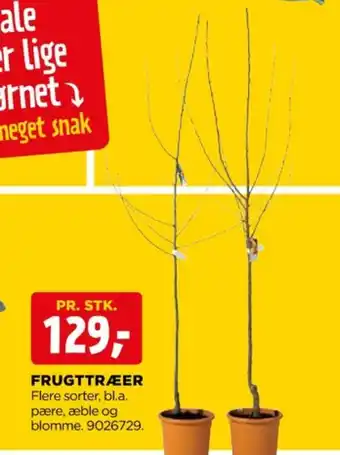 jem & fix Ukendt frugttræ tilbud