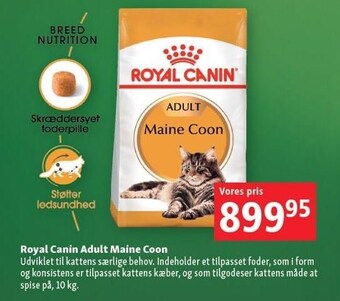 Maxi Zoo Royal canin adult maine coon tilbud