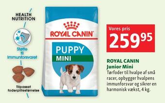 Maxi Zoo Royal canin junior mini tilbud