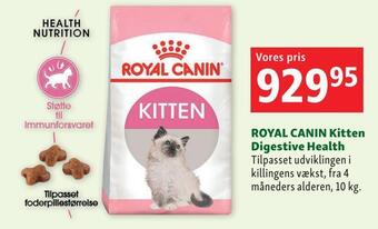 Royal canin kitten digestive health