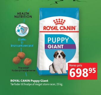 Royal canin puppy giant