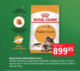 Maxi Zoo Royal canin adult maine coon tilbud