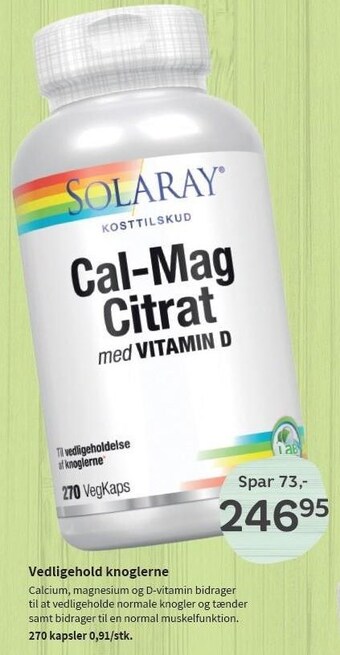Helsam Vedligehold knoglerne tilbud