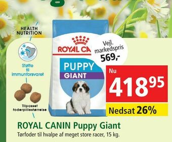 ROYAL CANIN Puppy Giant
