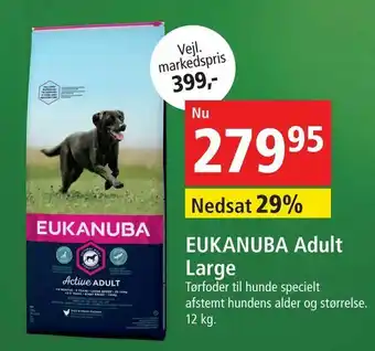 EUKANUBA Adult Large tilbud hos Maxi Zoo