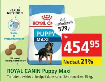 ROYAL CANIN Puppy Maxi