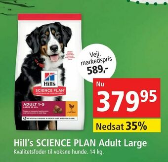 Maxi Zoo Hill's SCIENCE PLAN Adult Large tilbud