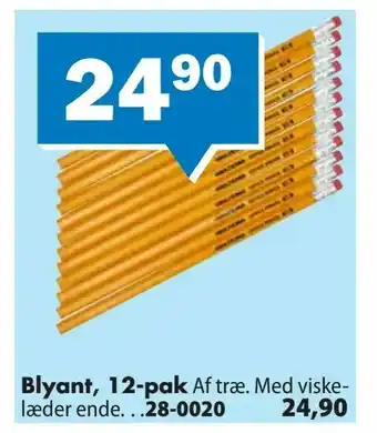 Blyant, 12-pak