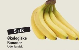 Økologiske Bananer