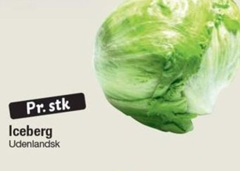 Iceberg