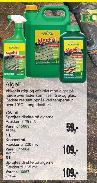 Harald Nyborg Algefri tilbud