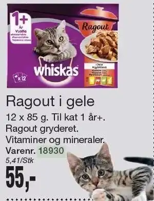 Harald Nyborg Ragout i gele tilbud