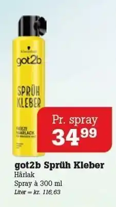 Got2b sprüh kleber