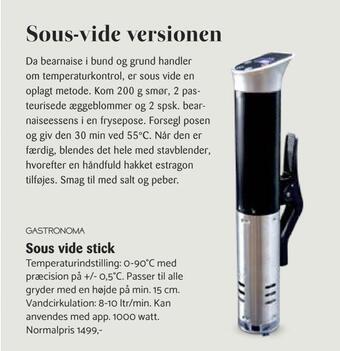 Sous vide stick