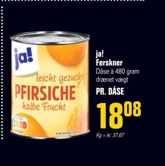 Poetzsch Padborg Ja! ferskner tilbud