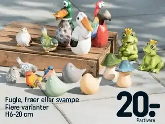 REMA 1000 Fugle,Frøer Eller Svampe H6-20 cm tilbud