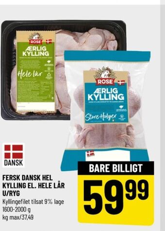 Ærlig kylling kylling