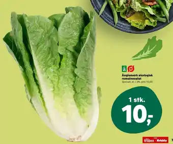 Kvickly Änglamark romainesalat tilbud