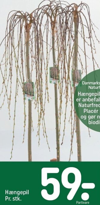 REMA 1000 Hængepil tilbud