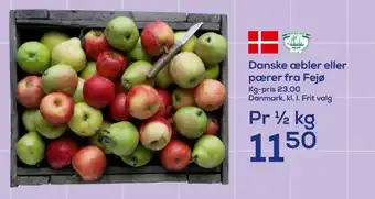 Danske æbler eller pærer fra fejø