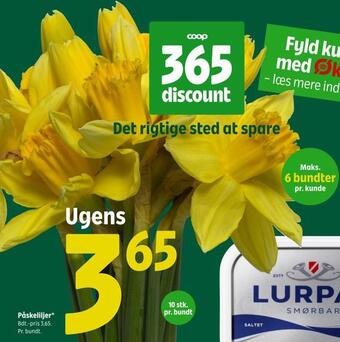 Coop 365 Påskeliljer tilbud