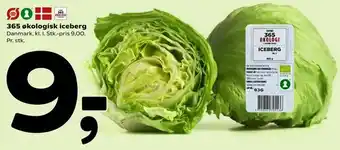 365 økologisk iceberg