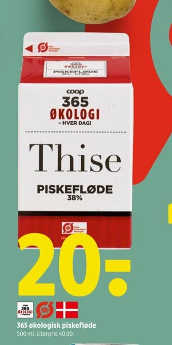 Thise piskefløde