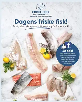 Bilka Dagens friske fisk tilbud