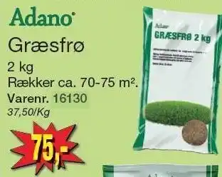 Græsfrø