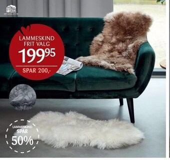Lammeskind