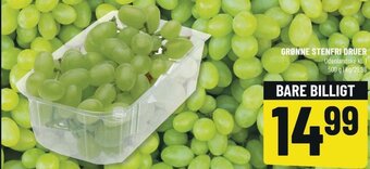Løvbjerg Grønne Stenfri Druer 500 g tilbud