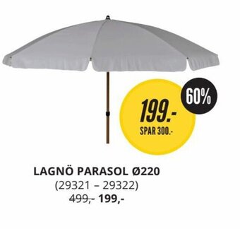 Lagno parasol