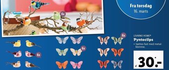 Lidl Pynteclips tilbud