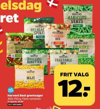 Netto Harvest best grøntsager tilbud