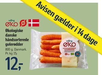 Økologiske danske håndsorterede gulerødder