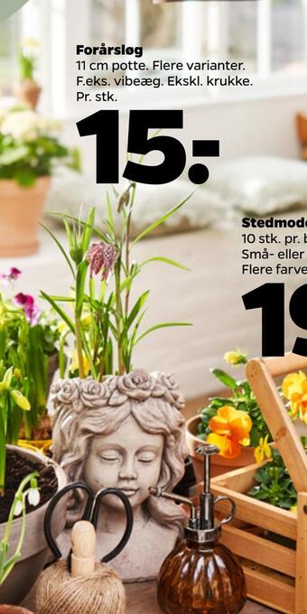 Netto Forårsløg tilbud