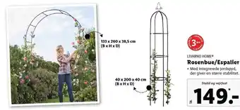 Lidl Livarno home rosenbue/espalier tilbud