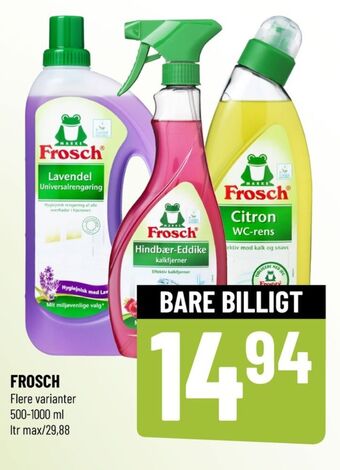 Løvbjerg Frosch rengøring - universal tilbud