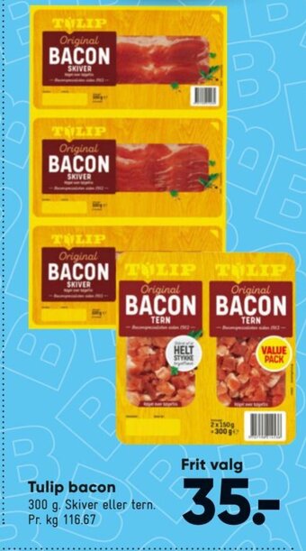 Tulip Bacon