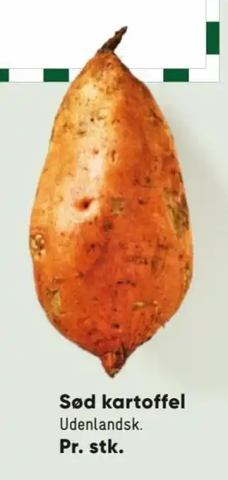 Sød Kartoffel