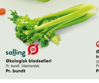 Økologisk Bladselleri