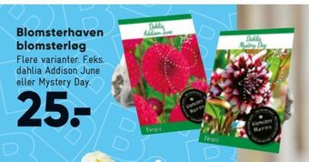 Bilka Blomsterhaven Blomsterløg tilbud