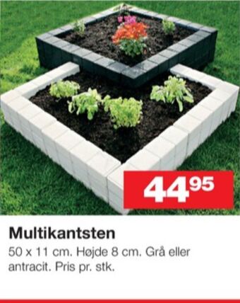 Ukendt kantsten
