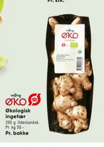 Bilka Salling øko ingefær tilbud